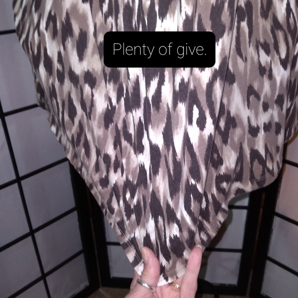 2A. Ann Taylor [Est. 1954] Leopard Print Dress - Picture 13 of 14